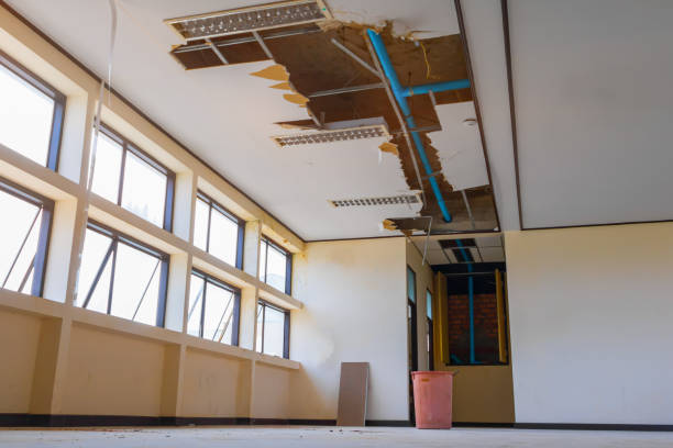 Cedville, AR Water damage restoration Pros