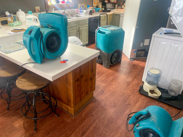 Best Local water damage restoration  in Cedville, AR