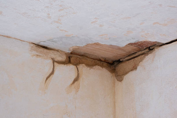 Best Flooded house restoration  in Cedville, AR