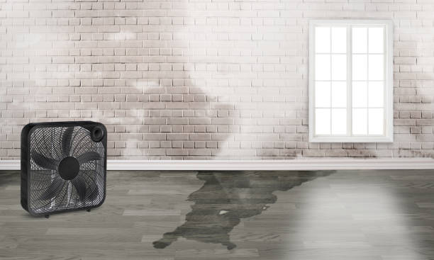 Best Emergency water damage restoration  in Cedville, AR