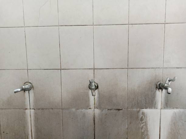Best Water damage cleanup near me  in Cedville, AR