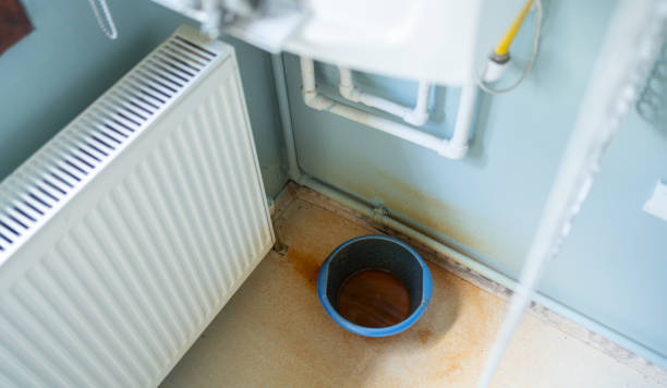 Best 24/7 water damage repair  in Cedville, AR