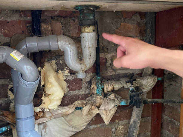  Cedville, AR Water damage restoration Pros