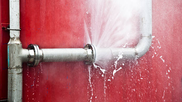 Best 24/7 water damage repair  in Cedville, AR
